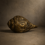 Shankh Vibrations of Goodness
